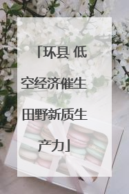 环县 低空经济催生田野新质生产力