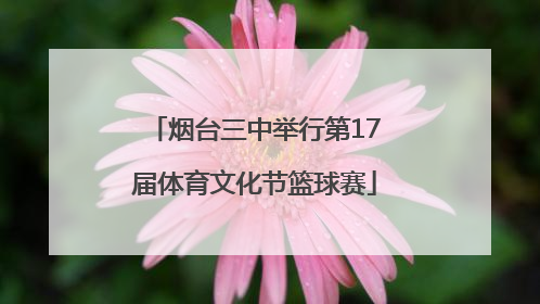 烟台三中举行第17届体育文化节篮球赛