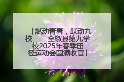 燃动青春，跃动九校——全椒县第九学校2025年春季田径运动会圆满收官