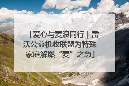 爱心与麦浪同行｜雷沃公益机收联盟为特殊家庭解燃“麦”之急