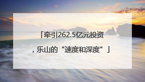 牵引262.5亿元投资，乐山的“速度和深度”