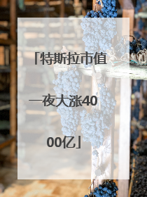 特斯拉市值一夜大涨4000亿