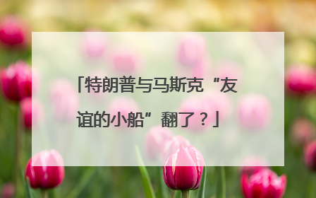特朗普与马斯克“友谊的小船”翻了？