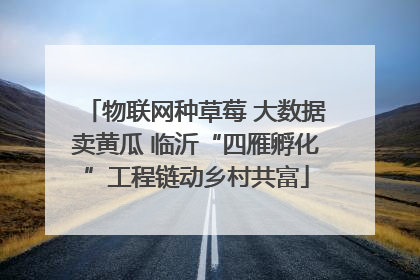 物联网种草莓 大数据卖黄瓜 临沂“四雁孵化”工程链动乡村共富