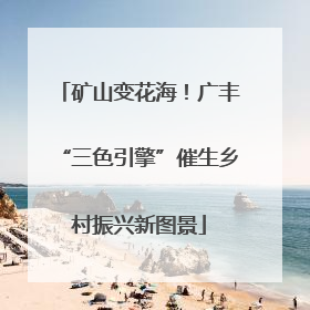 矿山变花海！广丰“三色引擎”催生乡村振兴新图景