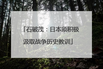 石破茂：日本须积极汲取战争历史教训