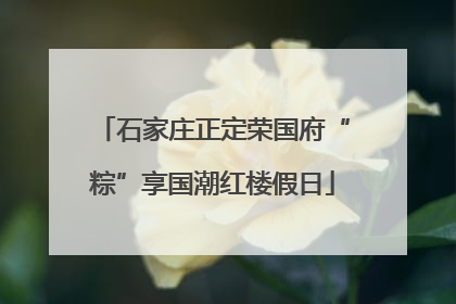 石家庄正定荣国府“粽”享国潮红楼假日