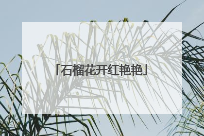 石榴花开红艳艳