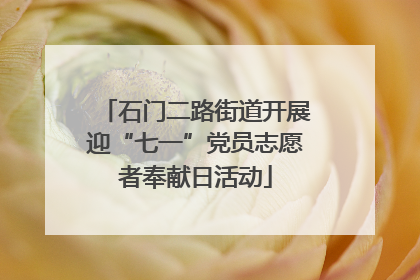 石门二路街道开展迎“七一”党员志愿者奉献日活动