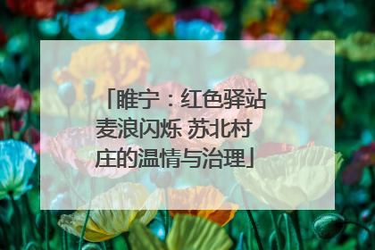 睢宁：红色驿站麦浪闪烁 苏北村庄的温情与治理