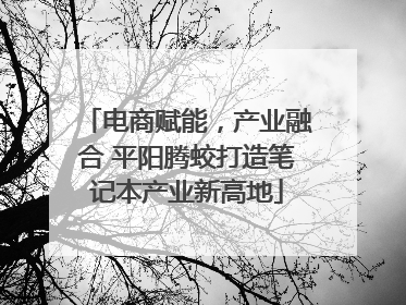 电商赋能，产业融合 平阳腾蛟打造笔记本产业新高地