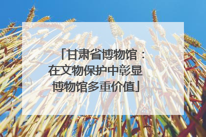 甘肃省博物馆：在文物保护中彰显博物馆多重价值