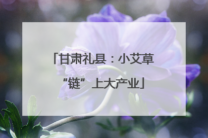 甘肃礼县：小艾草“链”上大产业