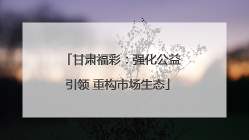 甘肃福彩：强化公益引领 重构市场生态