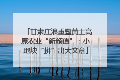 甘肃庄浪重塑黄土高原农业“新颜值”：小地块“拼”出大文章