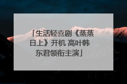 生活轻喜剧《蒸蒸日上》开机 高叶韩东君领衔主演