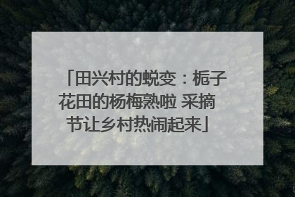 田兴村的蜕变：栀子花田的杨梅熟啦 采摘节让乡村热闹起来