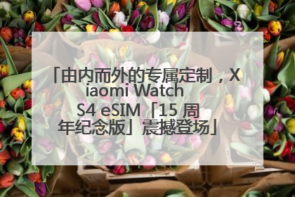 由内而外的专属定制，Xiaomi Watch S4 eSIM「15 周年纪念版」震撼登场