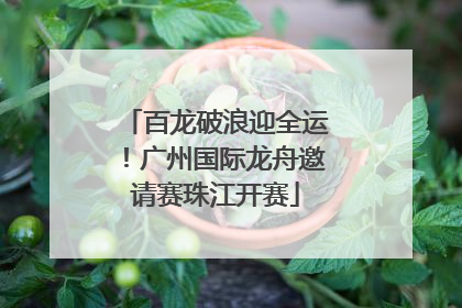 百龙破浪迎全运！广州国际龙舟邀请赛珠江开赛