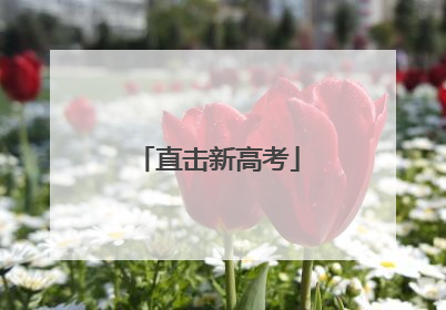直击新高考