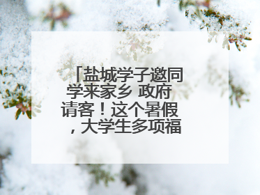 盐城学子邀同学来家乡 政府请客！这个暑假，大学生多项福利免费游盐城