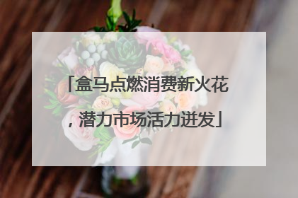 盒马点燃消费新火花，潜力市场活力迸发