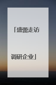 盛蕾走访调研企业