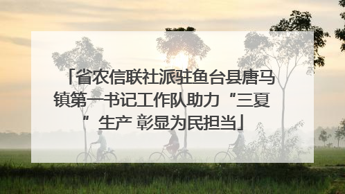 省农信联社派驻鱼台县唐马镇第一书记工作队助力“三夏”生产 彰显为民担当