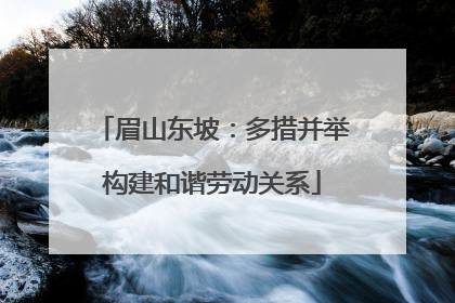 眉山东坡：多措并举构建和谐劳动关系