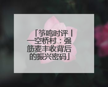 筝鸣时评丨一空桥村：强筋麦丰收背后的振兴密码