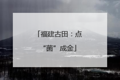 福建古田：点“菌”成金