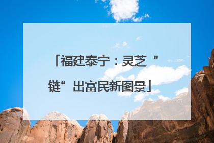 福建泰宁：灵芝“链”出富民新图景