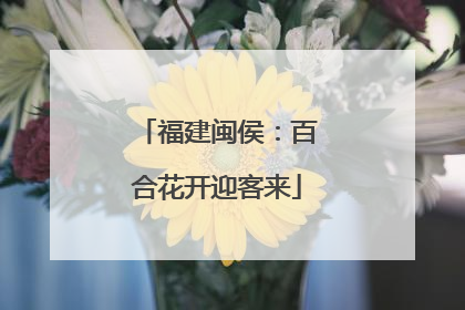 福建闽侯：百合花开迎客来