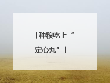 种粮吃上“定心丸”