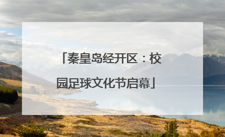 秦皇岛经开区：校园足球文化节启幕