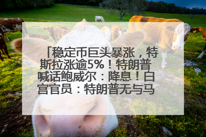 稳定币巨头暴涨，特斯拉涨逾5%！特朗普喊话鲍威尔：降息！白宫官员：特朗普无与马斯克交谈计划，他正考虑卖掉红色特斯拉