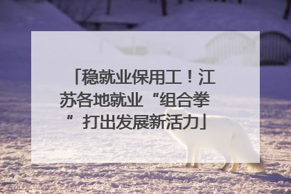 稳就业保用工！江苏各地就业“组合拳”打出发展新活力