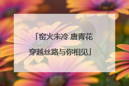 窑火未冷 唐青花穿越丝路与你相见