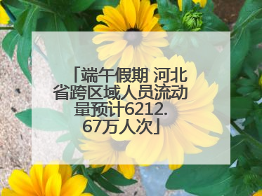 端午假期 河北省跨区域人员流动量预计6212.67万人次