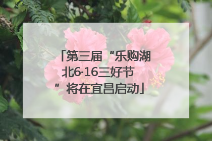 第三届“乐购湖北6·16三好节”将在宜昌启动