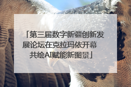 第三届数字新疆创新发展论坛在克拉玛依开幕 共绘AI赋能新图景