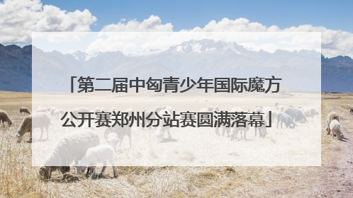 第二届中匈青少年国际魔方公开赛郑州分站赛圆满落幕