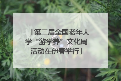 第二届全国老年大学“游学养”文化周活动在伊春举行