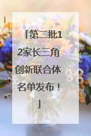 第二批12家长三角创新联合体名单发布！
