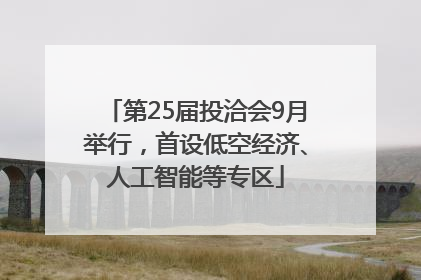 第25届投洽会9月举行，首设低空经济、人工智能等专区