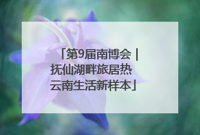 第9届南博会｜抚仙湖畔旅居热 云南生活新样本