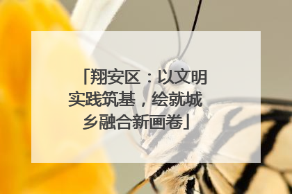 翔安区：以文明实践筑基，绘就城乡融合新画卷