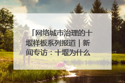 网络城市治理的十堰样板系列报道｜新闻专访：十堰为什么成为“黑马型”城市治理网络维度典型