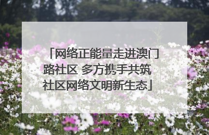 网络正能量走进澳门路社区 多方携手共筑社区网络文明新生态
