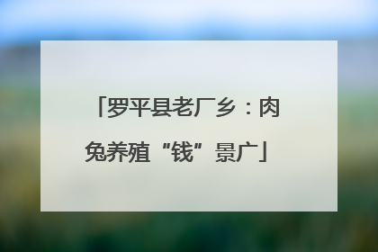 罗平县老厂乡：肉兔养殖“钱”景广
